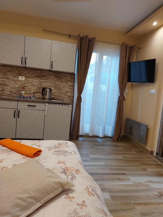 Apartment Knezevic *