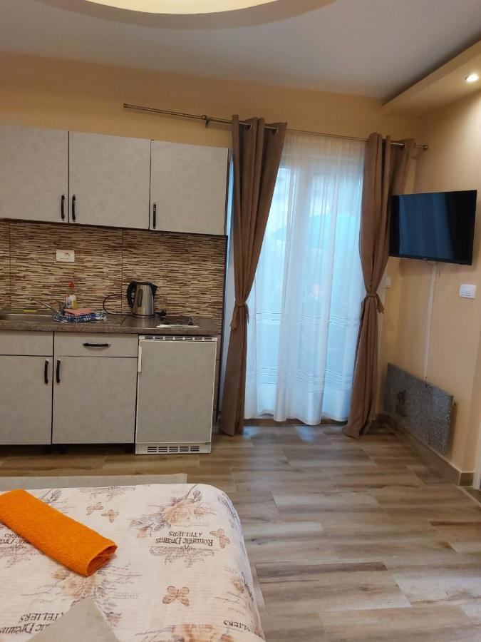 Apartment Knezevic *
