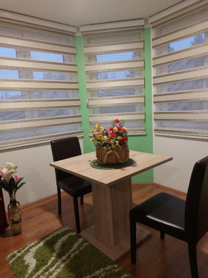 Knezevic Apartment Zlatibor