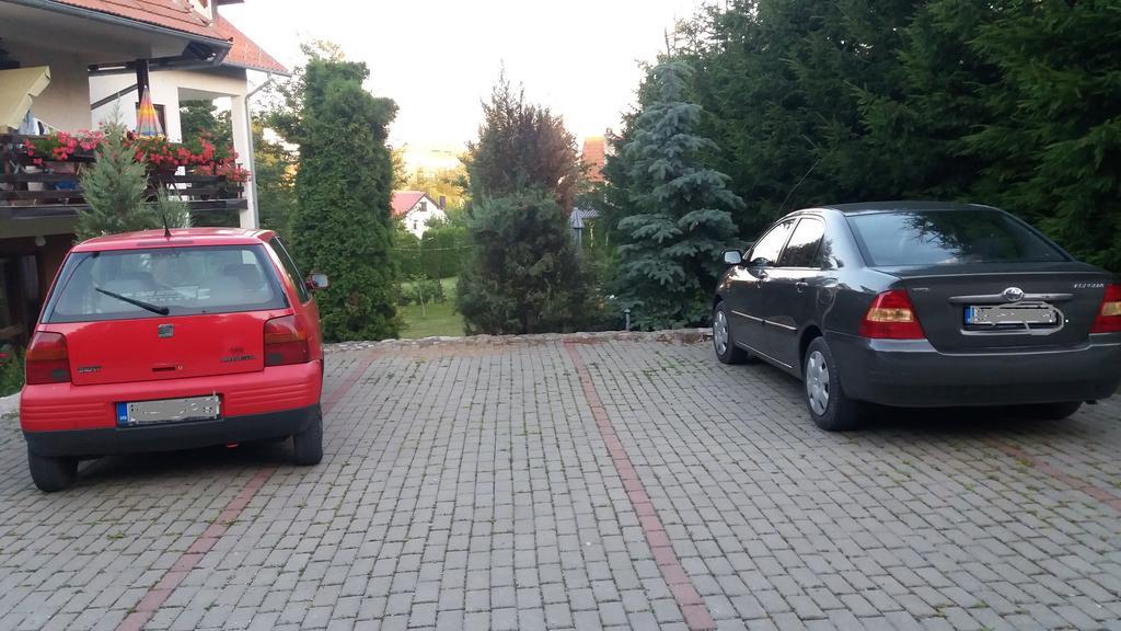 Apartment Knezevic