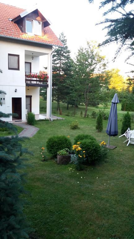Knezevic