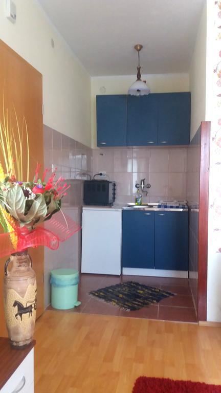 Apartment Knezevic Zlatibor